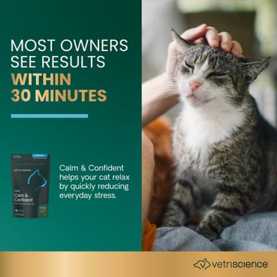 Show full view: VetriScience Composure Calm & Confident Chicken Liver Flavored Soft Chews Calming Supplement for Cats, 30 count slide 4 of 12