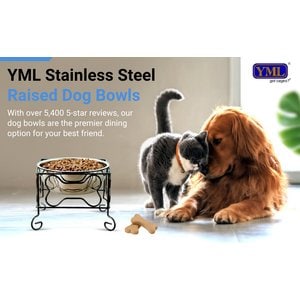 YML Wrought Iron Stand with Stainless Steel Dog Bowl, Medium