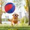 Show in main carousel: Pet Fit For Life 18-in Herding Ball Dog Toy slide 7 of 8