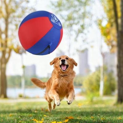 Show full view: Pet Fit For Life 18-in Herding Ball Dog Toy slide 7 of 8