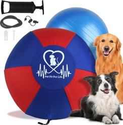 Pet Fit For Life 18-in Herding Ball Dog Toy