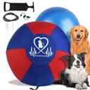 Pet Fit For Life 18-in Herding Ball Dog Toy