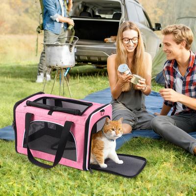 Show full view: Gapzer Soft-Sided Collapsible & Washable Travel Dog & Cat Carrier, 18.1 x 11.8 x 11.8-in, Pink slide 9 of 9
