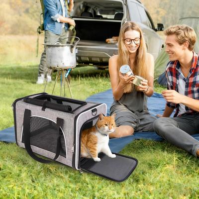 Show full view: Gapzer Soft-Sided Collapsible & Washable Travel Dog & Cat Carrier, 18.1 x 11.8 x 11.8-in, Grey slide 10 of 10