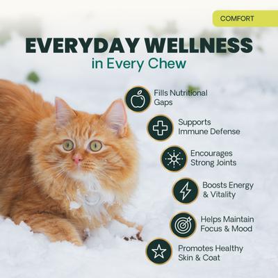 Show full view: VetriScience Nu Cat Senior 27+ Active Health Fish Flavored Chews Soft Chews Multivitamin for Cats, 30 count slide 6 of 11