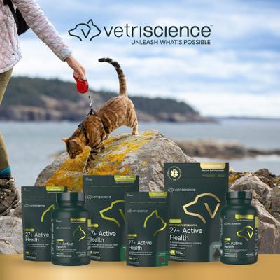 Show full view: VetriScience Nu Cat Senior 27+ Active Health Fish Flavored Chews Soft Chews Multivitamin for Cats, 30 count slide 10 of 11