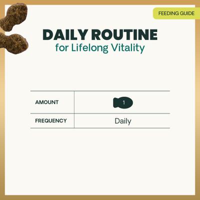 Show full view: VetriScience Nu Cat Senior 27+ Active Health Fish Flavored Chews Soft Chews Multivitamin for Cats, 30 count slide 8 of 11