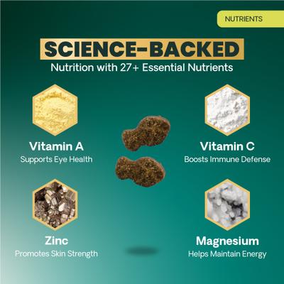 Show full view: VetriScience Nu Cat Senior 27+ Active Health Fish Flavored Chews Soft Chews Multivitamin for Cats, 30 count slide 5 of 11