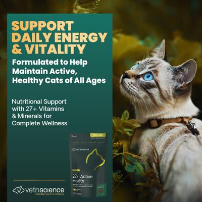 Show full view: VetriScience Nu Cat Senior 27+ Active Health Fish Flavored Chews Soft Chews Multivitamin for Cats, 30 count slide 4 of 11