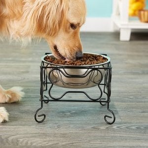YML Wrought Iron Stand with Stainless Steel Dog Bowl, Medium