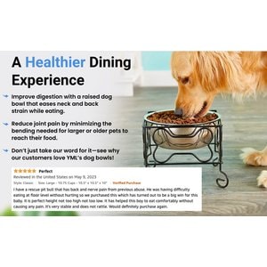 YML Wrought Iron Stand with Stainless Steel Dog Bowl, Medium