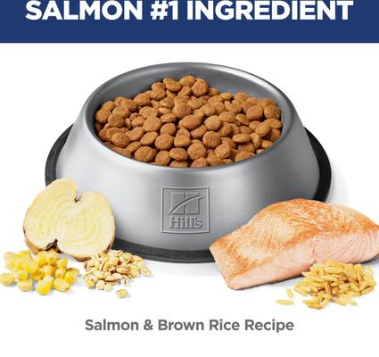 Show full view: Hill's Science Diet Adult Perfect Digestion Salmon, Brown Rice & Whole Oats Recipe Dry Dog Food, 3.5-lb bag slide 5 of 13