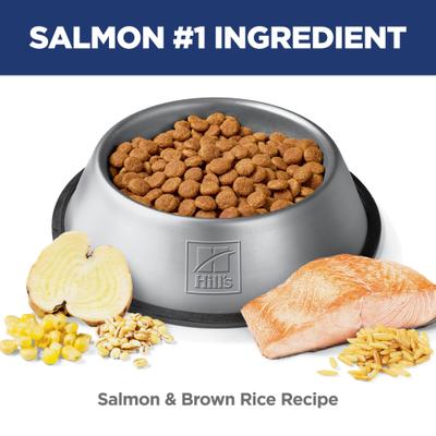 Show full view: Hill's Science Diet Adult Perfect Digestion Salmon, Brown Rice & Whole Oats Recipe Dry Dog Food, 12-lb bag slide 5 of 13