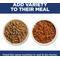 Show in main carousel: Hill's Science Diet Adult Perfect Digestion Chicken, Barley, & Whole Oats Recipe Dry Cat Food, 6-lb bag slide 9 of 13