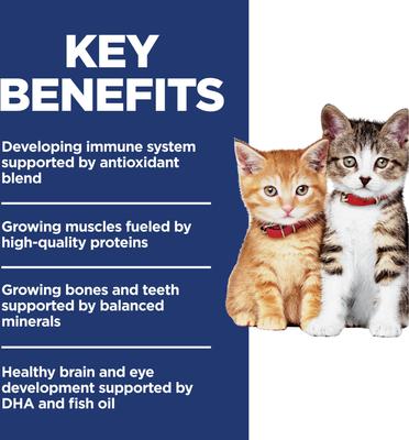 Show full view: Hill's Science Diet Kitten Chicken & Brown Rice Recipe No Corn, Wheat or Soy Dry Cat Food, 6-lb bag slide 4 of 12