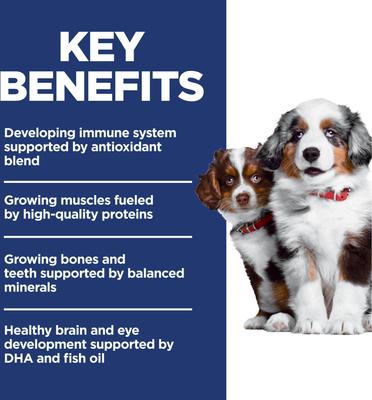 Show full view: Hill's Science Diet Puppy Chicken & Brown Rice Recipe No Corn, Wheat or Soy Dry Dog Food, 4-lb bag slide 4 of 12