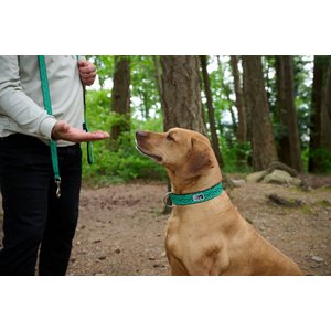 RC Pets Fresh Tracks Blue Dog Collar, Medium: 12 to 20-in neck, 1-in wide