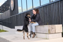 RC Pets Tan Tartan Dog Collar, X-Small: 7 to 9-in neck, 5/8-in wide slide 2 of 4