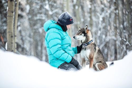 Show full view: RC Pets Sushi Dog Collar, Large: 15 to 20-in neck, 1-in wide slide 3 of 5