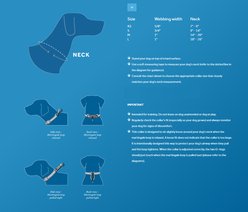 RC Pets Fresh Tracks Pink Dog Training Collar, X-Small: 7 to 9-in neck, 5/8-in wide slide 2 of 4