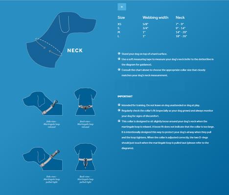 Show full view: RC Pets Fresh Tracks Blue Dog Training Collar, X-Small: 7 to 9-in neck, 5/8-in wide slide 2 of 4