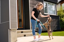 RC Pets Fresh Tracks Blue Dog Training Collar, Small: 9 to 14-in neck, 3/4-in wide slide 2 of 4