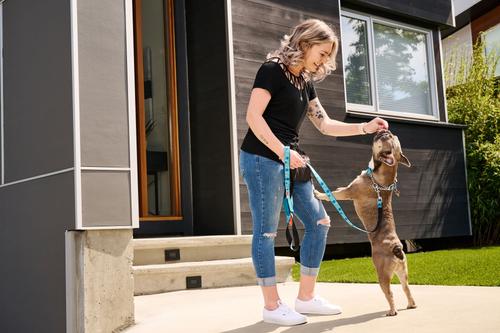 Show full view: RC Pets Fresh Tracks Blue Dog Training Collar, X-Small: 7 to 9-in neck, 5/8-in wide slide 4 of 4