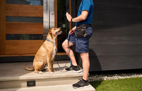 Show full view: RC Pets Fresh Tracks Blue Dog Training Collar, X-Small: 7 to 9-in neck, 5/8-in wide slide 3 of 4