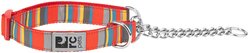 RC Pets Multi Stripes Dog Training Collar, Large: 18 to 26-in neck, 1-in wide