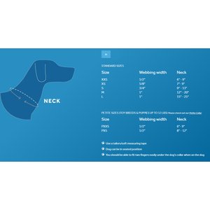 RC Pets Fresh Tracks Blue Dog Collar, Medium: 12 to 20-in neck, 1-in wide
