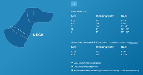 Show full view: RC Pets Bones Dog Collar, Large: 15 to 20-in neck, 1-in wide slide 3 of 5