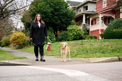 RC Pets Daisies Dog Collar, Large: 15 to 20-in neck, 1-in wide slide 2 of 6