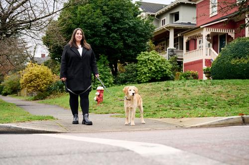 Show full view: RC Pets Daisies Dog Collar, Medium: 12 to 20-in neck, 1-in wide slide 4 of 6