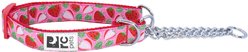 RC Pets Strawberries Dog Training Collar, Large: 18 to 26-in neck, 1-in wide