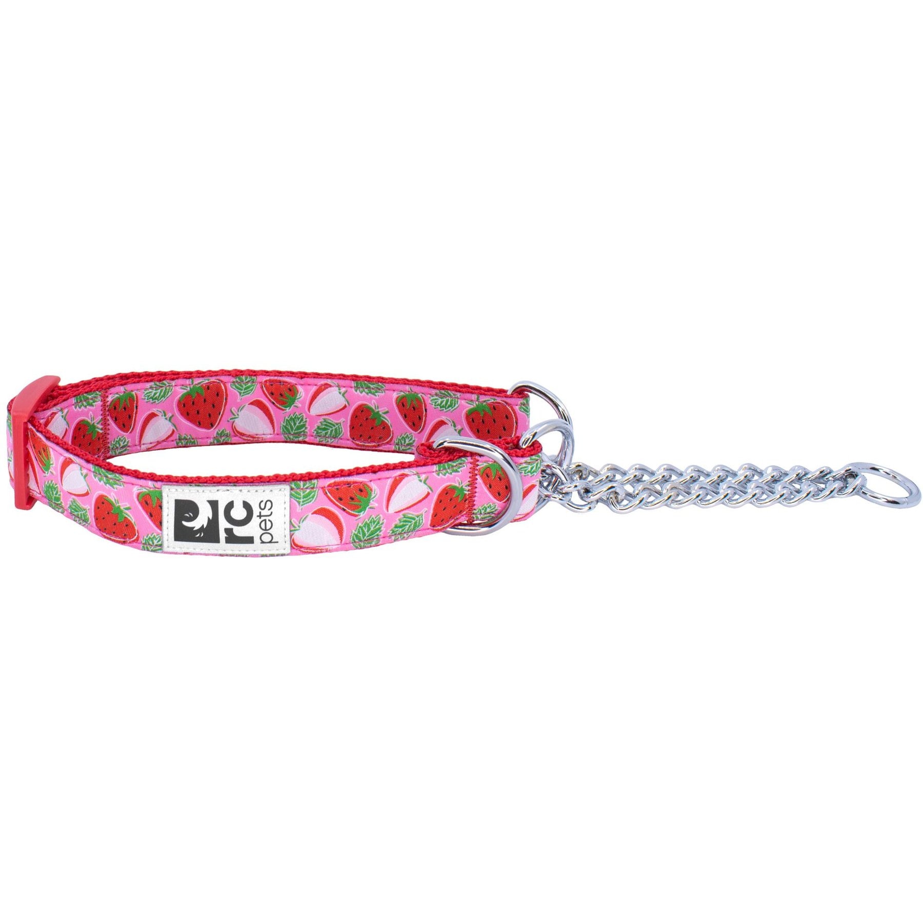 RC Pets Strawberries Dog Training Collar, Large: 18 to 26-in neck, 1-in wide