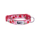 RC Pets Strawberries Dog Collar, Small: 9 to 13-in neck, 3/4-in wide