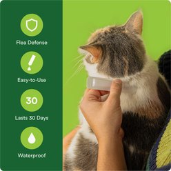 Advecta Flea Spot Treatment for Cats, 5-9 lbs, 6 doses (6-mos. supply) slide 2 of 6
