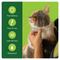 Show in main carousel: Advecta Flea Spot Treatment for Cats, Over 9 lbs, 6 doses (6-mos. supply) slide 5 of 6