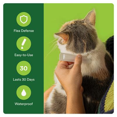 Show full view: Advecta Flea Spot Treatment for Cats, Over 9 lbs, 6 doses (6-mos. supply) slide 5 of 6