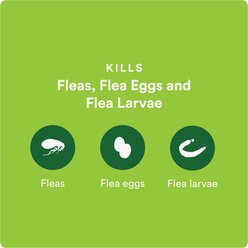 Advecta Flea Spot Treatment for Cats, Over 9 lbs, 6 doses (6-mos. supply) slide 2 of 6