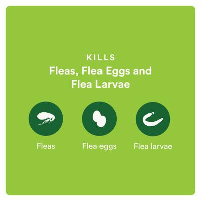 Show full view: Advecta Flea Spot Treatment for Cats, Over 9 lbs, 6 doses (6-mos. supply) slide 4 of 6