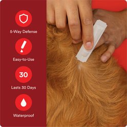 Advecta Flea & Tick Spot Treatment for Medium Dogs, 11-20 lbs, 6 doses (6-mos. supply) slide 2 of 6
