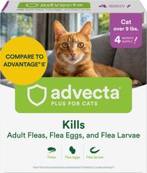 Advecta Flea Spot Treatment for Cats, Over 9 lbs, 4 doses (4-mos. supply)