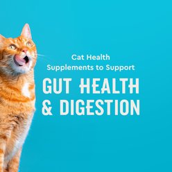 VetIQ Chicken Flavored Chew Probiotic Supplement for Cats, 3.7-oz bag slide 2 of 9