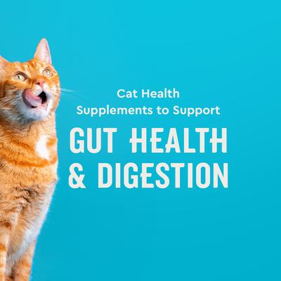 Show full view: VetIQ Chicken Flavored Chew Probiotic Supplement for Cats, 3.7-oz bag slide 3 of 11