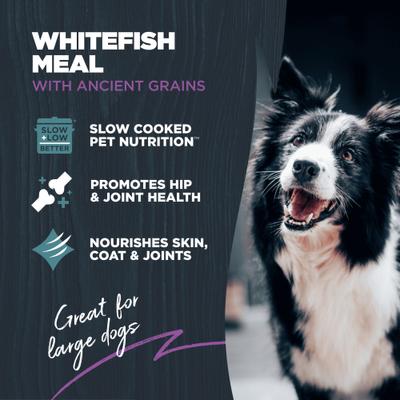 Show full view: Blackwood Large Breed Adult White Fish with Ancient Grains Recipe Dry Dog Food, 24-lb bag slide 4 of 11
