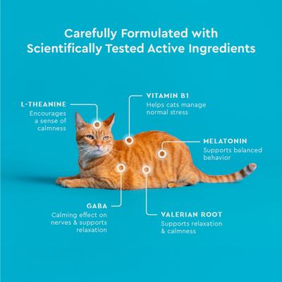 Show full view: VetIQ Chicken Flavored Chew Calming Supplement for Cats, 3.7-oz bag slide 7 of 11