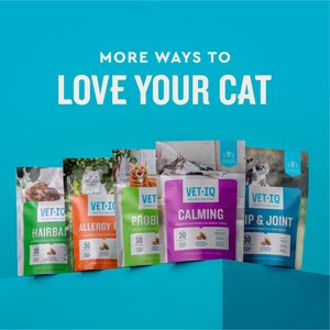 VetIQ Chicken Flavored Chew Hip & Joint Supplement for Cats, 3.7-oz bag