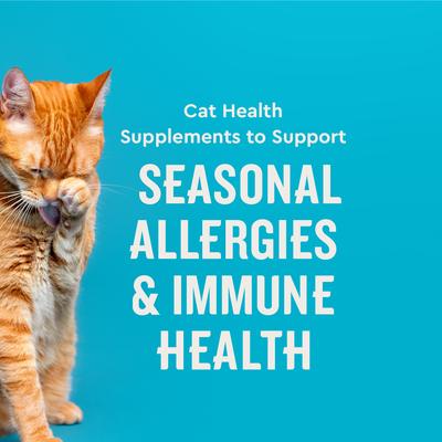 Show full view: VetIQ Chicken Flavored Chew Allergy & Immune Supplement for Cats, 3.7-oz bag slide 3 of 10