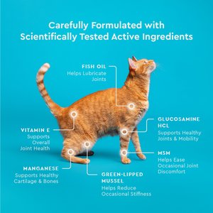 VetIQ Chicken Flavored Chew Hip & Joint Supplement for Cats, 3.7-oz bag